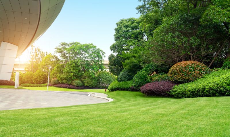 Business Lawn Maintenance detail