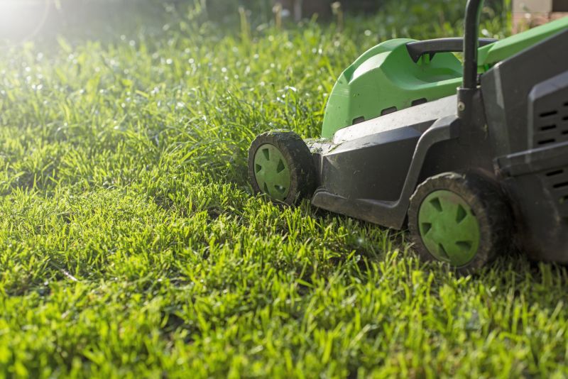 Lawn Care And Maintenance