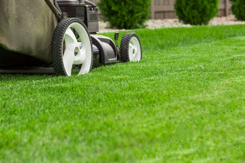 Weekly Lawn Maintenance