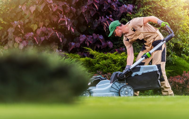 Professional Lawn Care Vehicles
