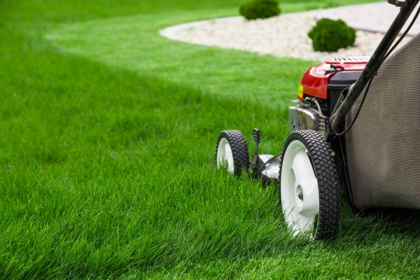 Grass Cutting Service in Glen Burnie