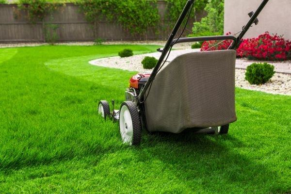 Cost of Grass Mowing in Glen Burnie