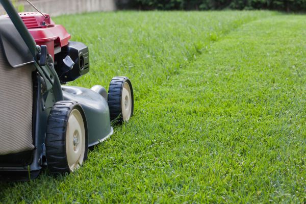 Lawn Care Service in Glen Burnie