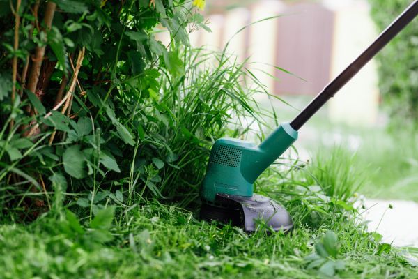 Weed Whacking in Glen Burnie