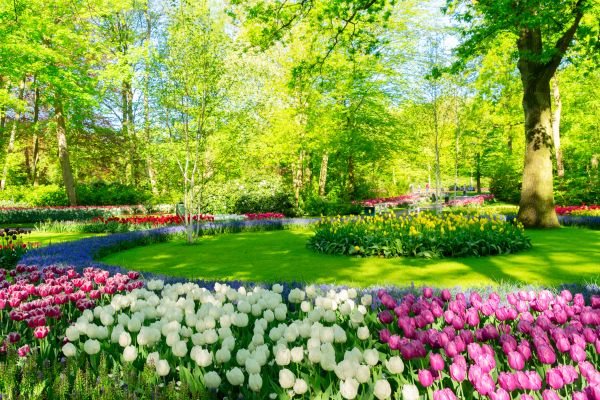 Spring Lawn Care in Glen Burnie