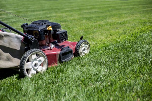 Cost of Routine Lawn Care in Glen Burnie