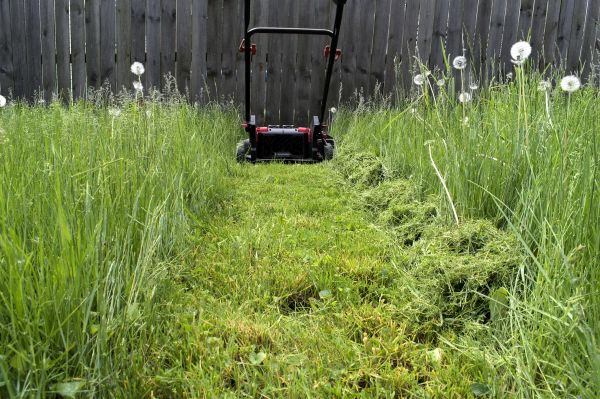 Cost of High Grass Mowing in Glen Burnie