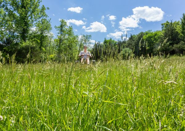 Cost of Long Grass Mowing in Glen Burnie
