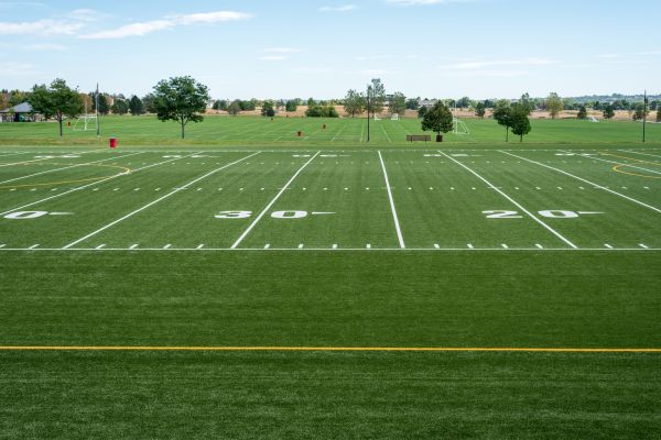 Cost of Groundskeeping Service in Glen Burnie