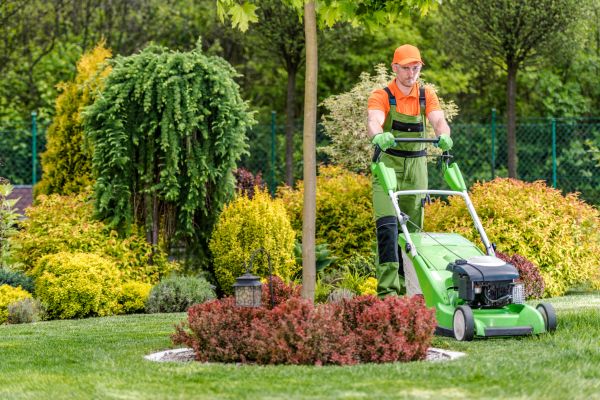 Cost of Commercial Yard Maintenance in Glen Burnie