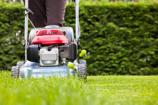 Grass Trimming Service in Glen Burnie
