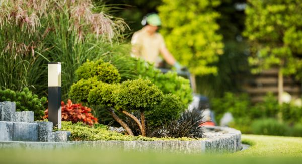 Cost of Residential Yard Maintenance in Glen Burnie