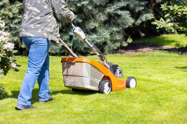 Springtime Lawn Care in Glen Burnie