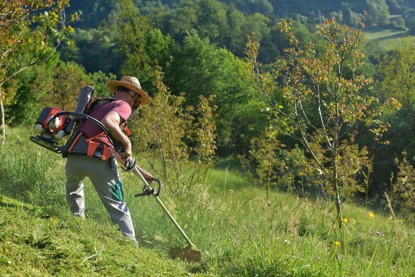 Slope Mowing in Glen Burnie