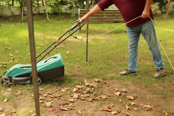 Cost of Leaves Mowing in Glen Burnie