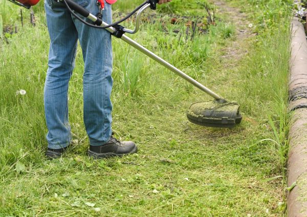 Cost of Tall Grass Trimming in Glen Burnie